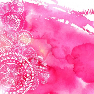 Bulletproof Knees Program